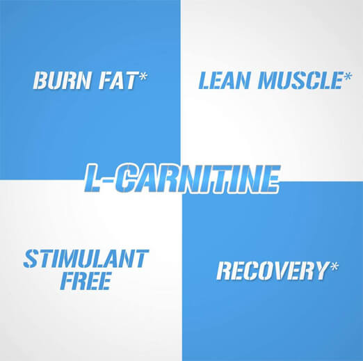 GYM Supplements Center Bangladesh